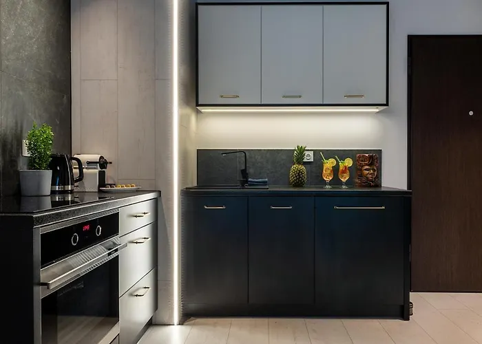 Apartamenty-wroc River Point 公寓 *